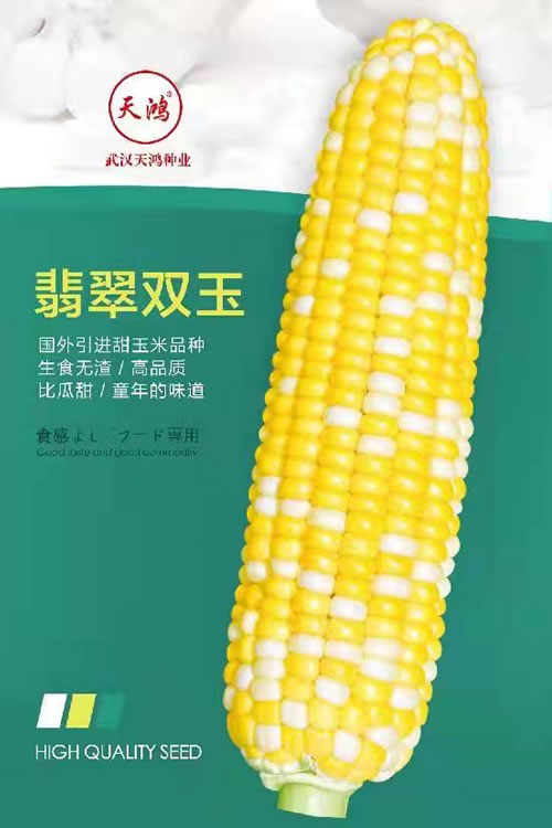 網(wǎng)站建設(shè)流程