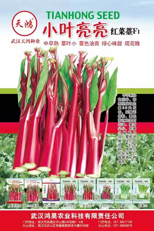 深圳云服務(wù)器